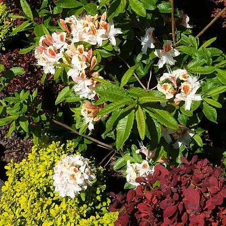 Pod Kozincem Bed & Breakfast 3*