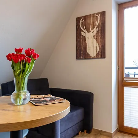 Pod Kozincem Bed & Breakfast Czarna Góra